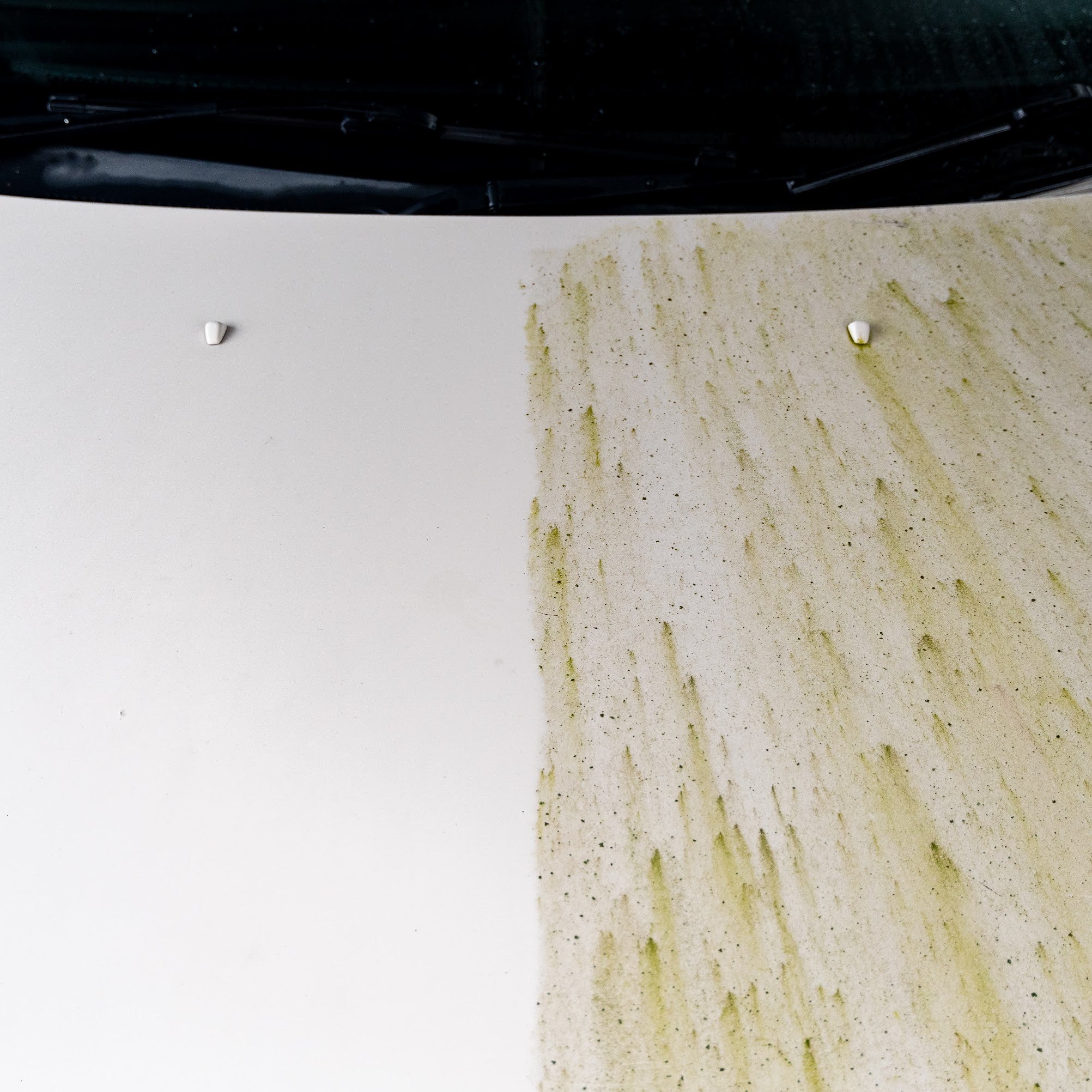 Dynamite Traffic Film Remover - Image 4